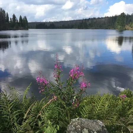 Harznest Braunlage