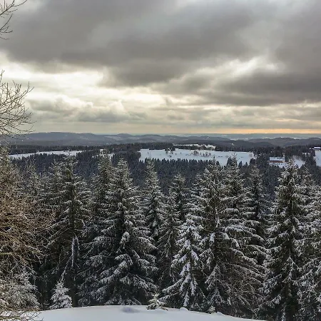 Harznest Braunlage