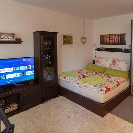 Apartment Harznest Braunlage