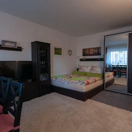 Apartment Harznest *